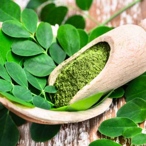 Moringa, Moringa Tunisie, Moringa bio, poudre de Moringa, feuilles de Moringa, bienfaits Moringa, super-aliment, santé, bien-être, vitalité, naturel, livraison Tunisie.