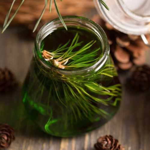 Miel de cèdre, miel Tunisie, miel rare, miel forestier, bienfaits miel, miel artisanal, acheter miel en ligne, livraison miel Tunisie.