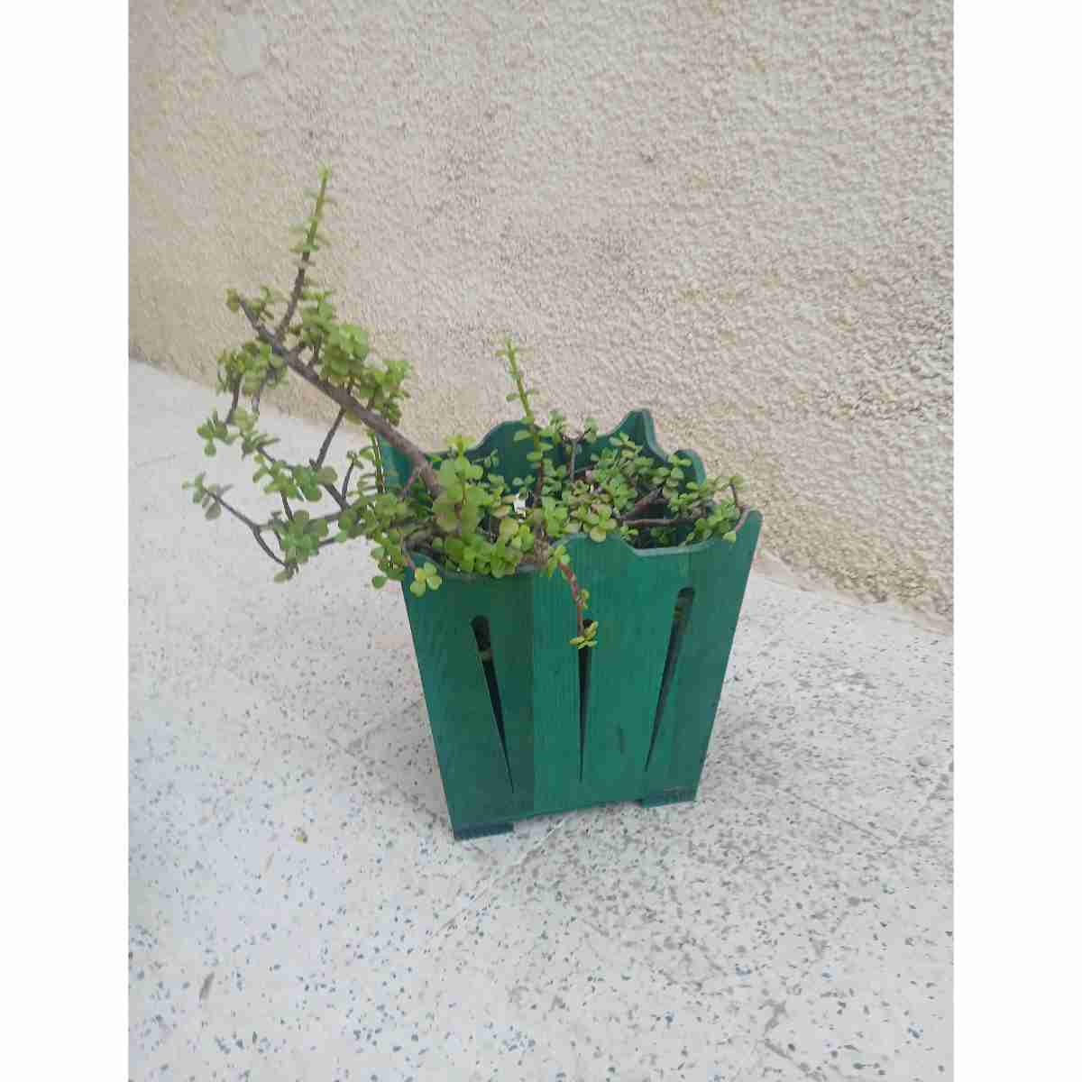 Panier en bois frenn