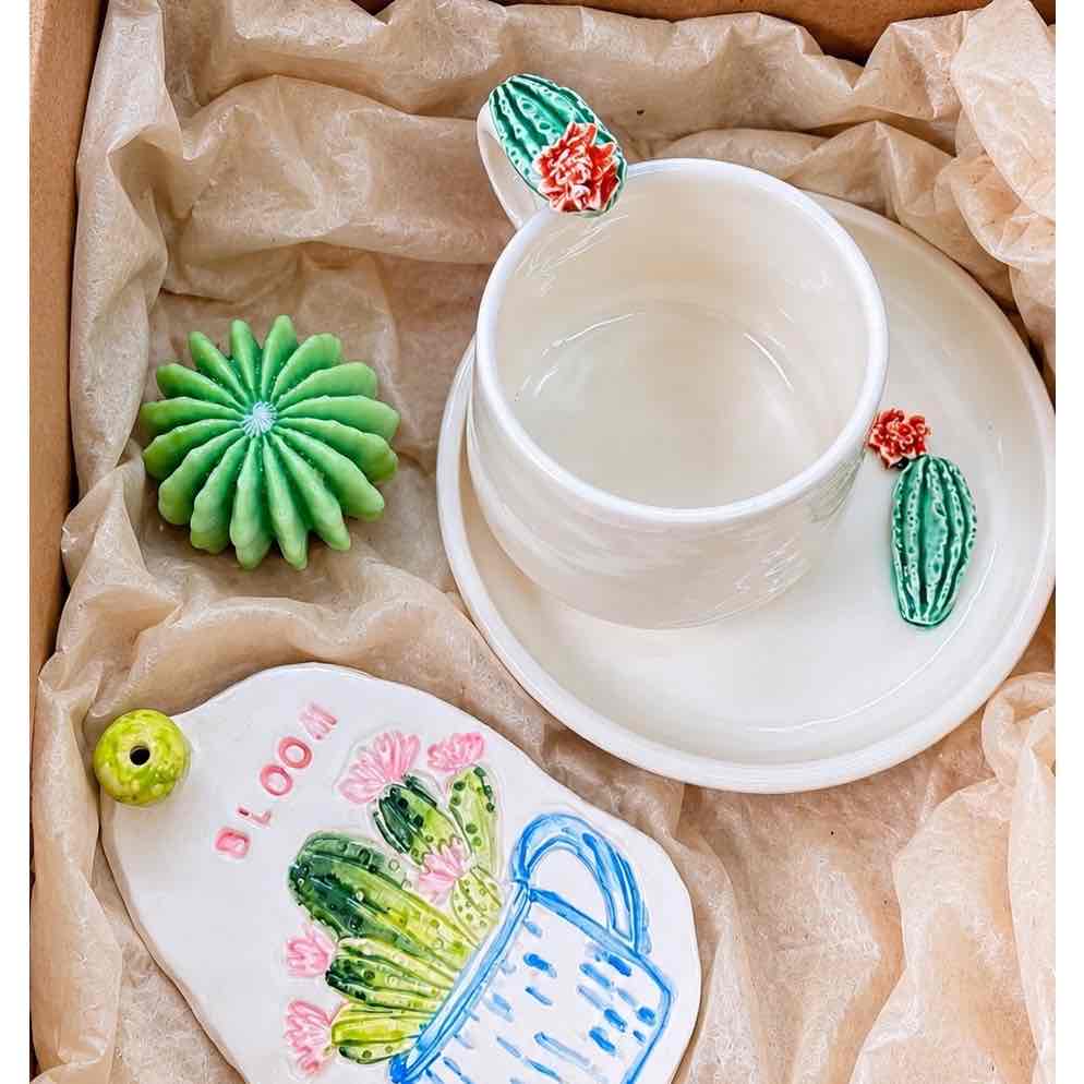 Coffret cactus lover