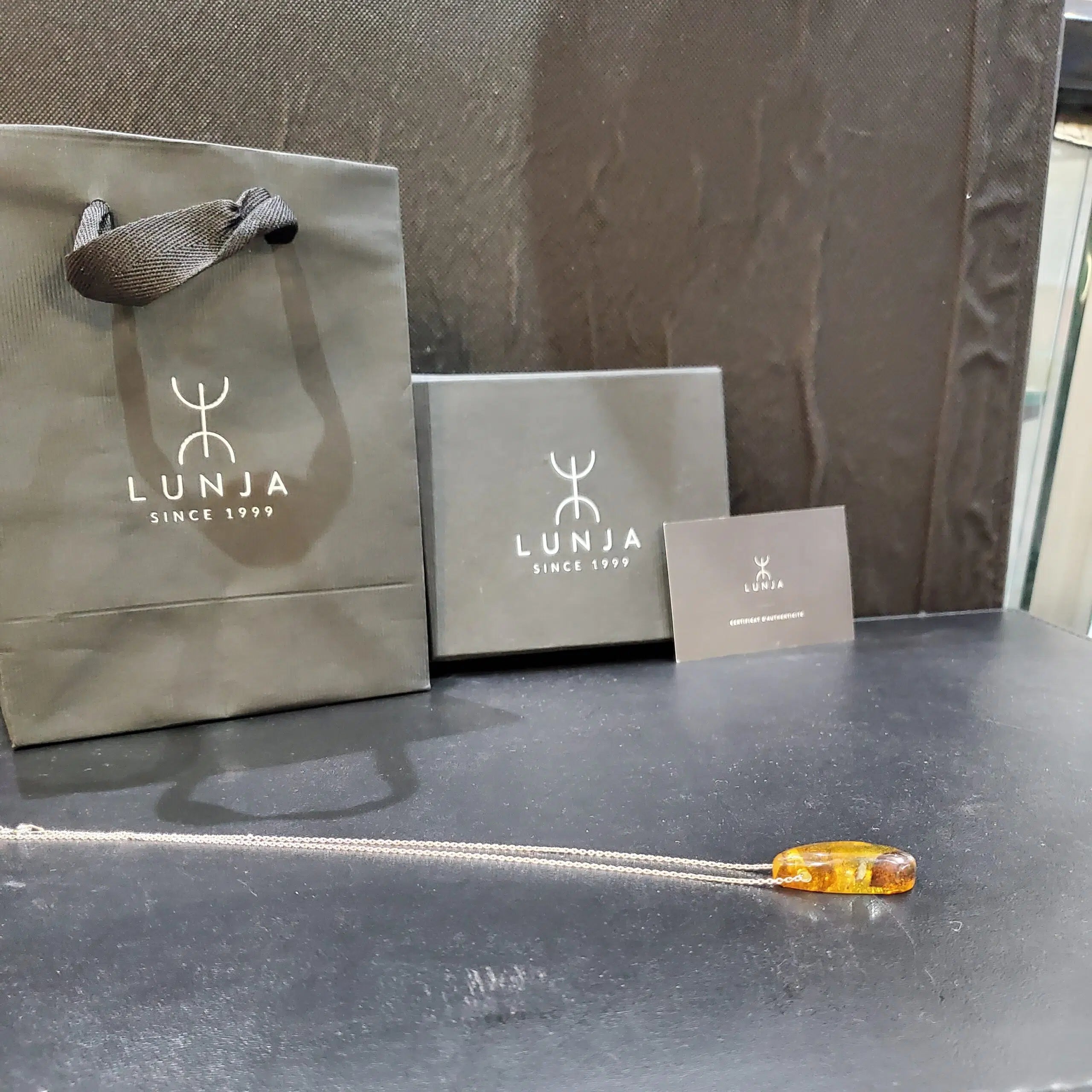 Collier Ambre véritable avec inclusions d'insectes forme de larme