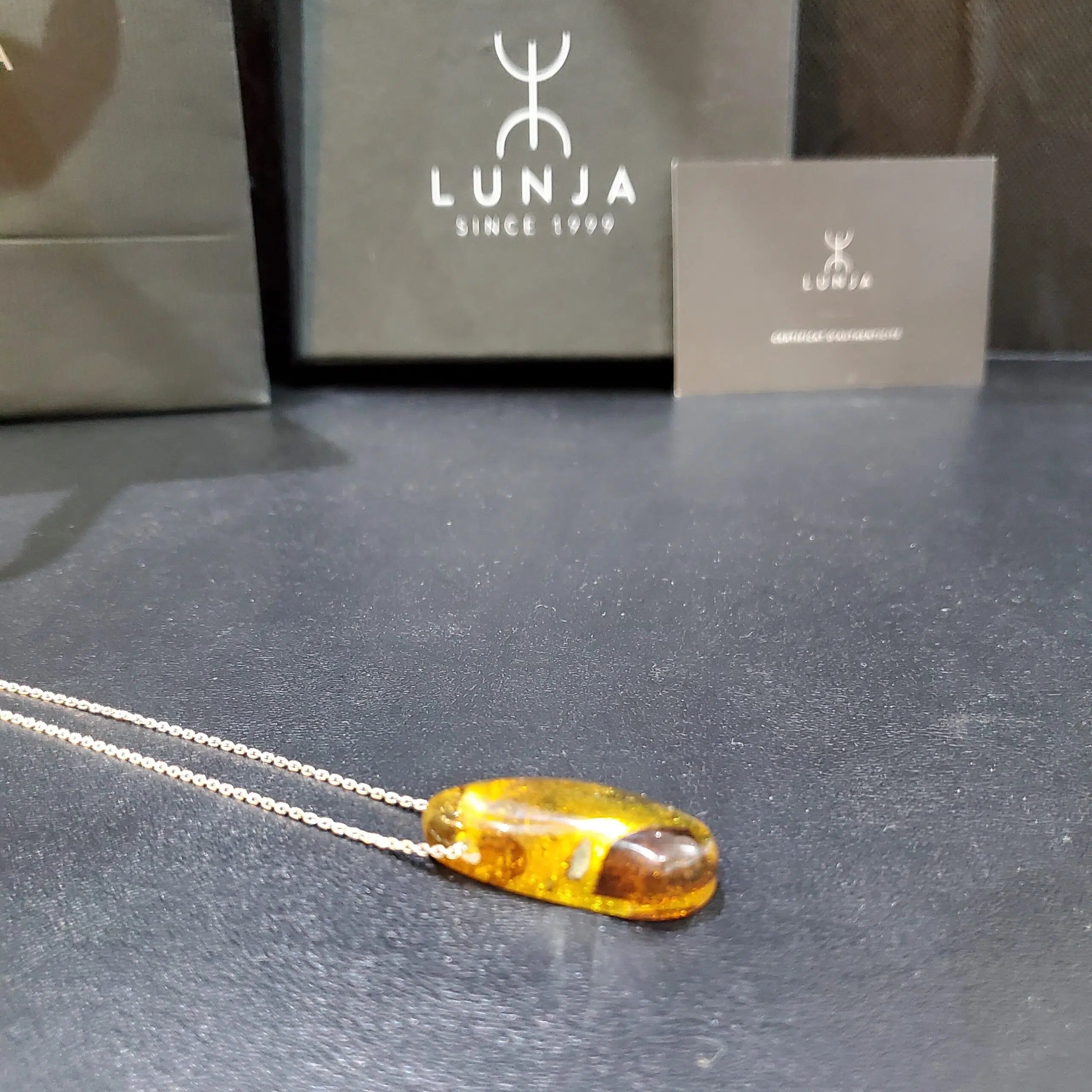 Collier Ambre véritable avec inclusions d'insectes forme de larme