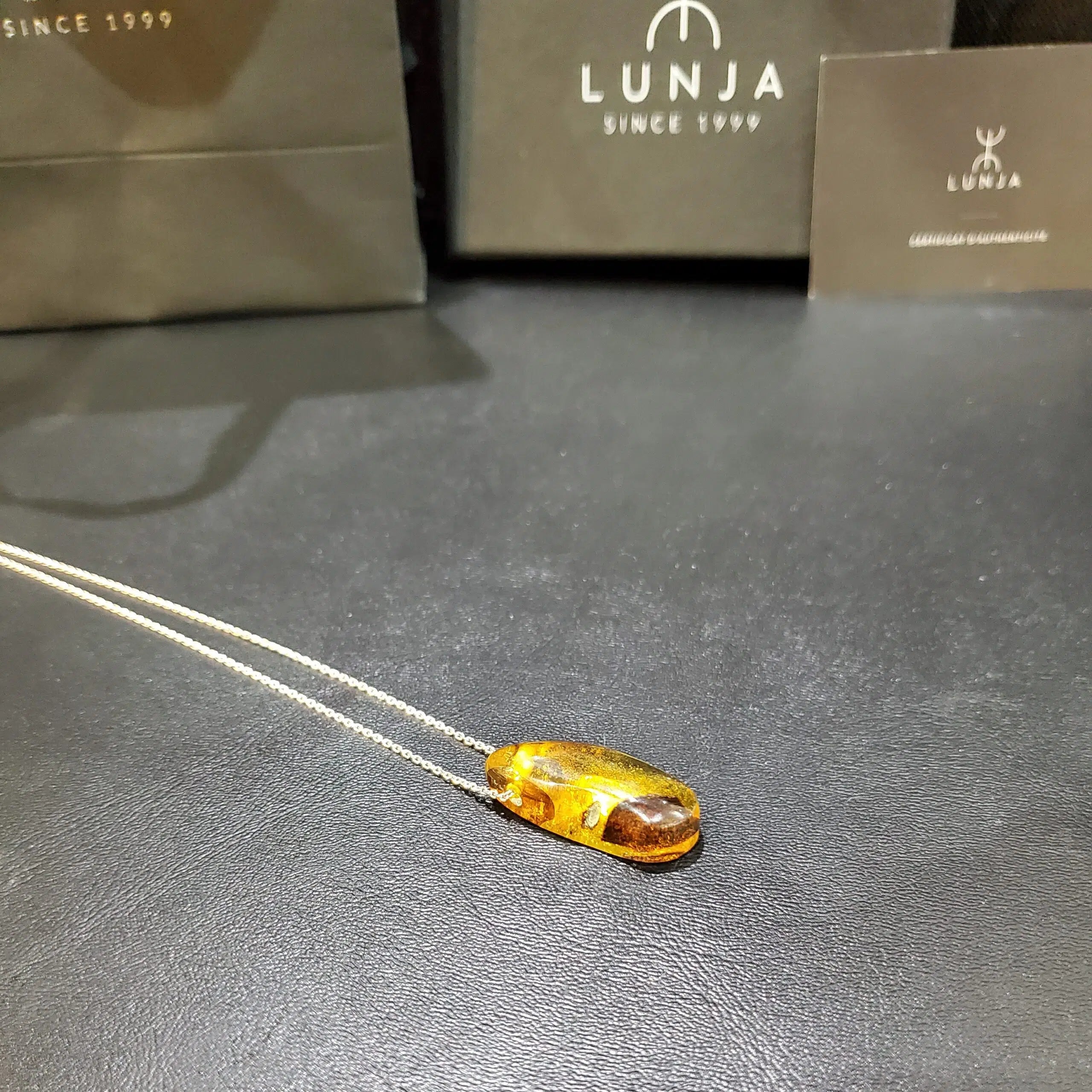 Collier Ambre véritable avec inclusions d'insectes forme de larme