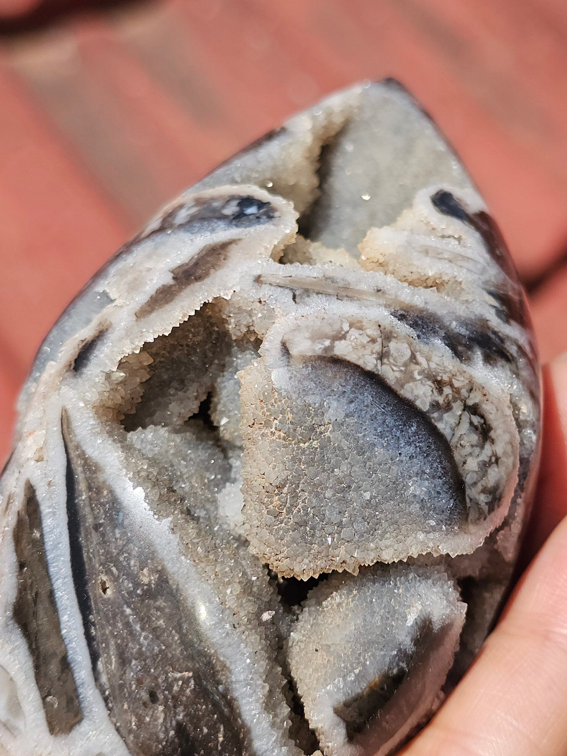 Pierre sédimentaire de décoration Nodule Septarien