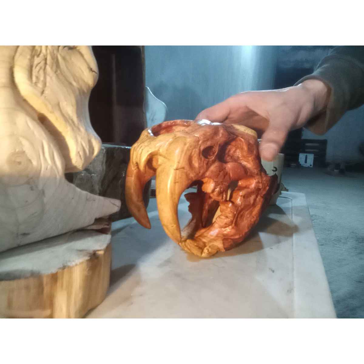sculpture bois Crâne de Smilodon en bois noble unique premium