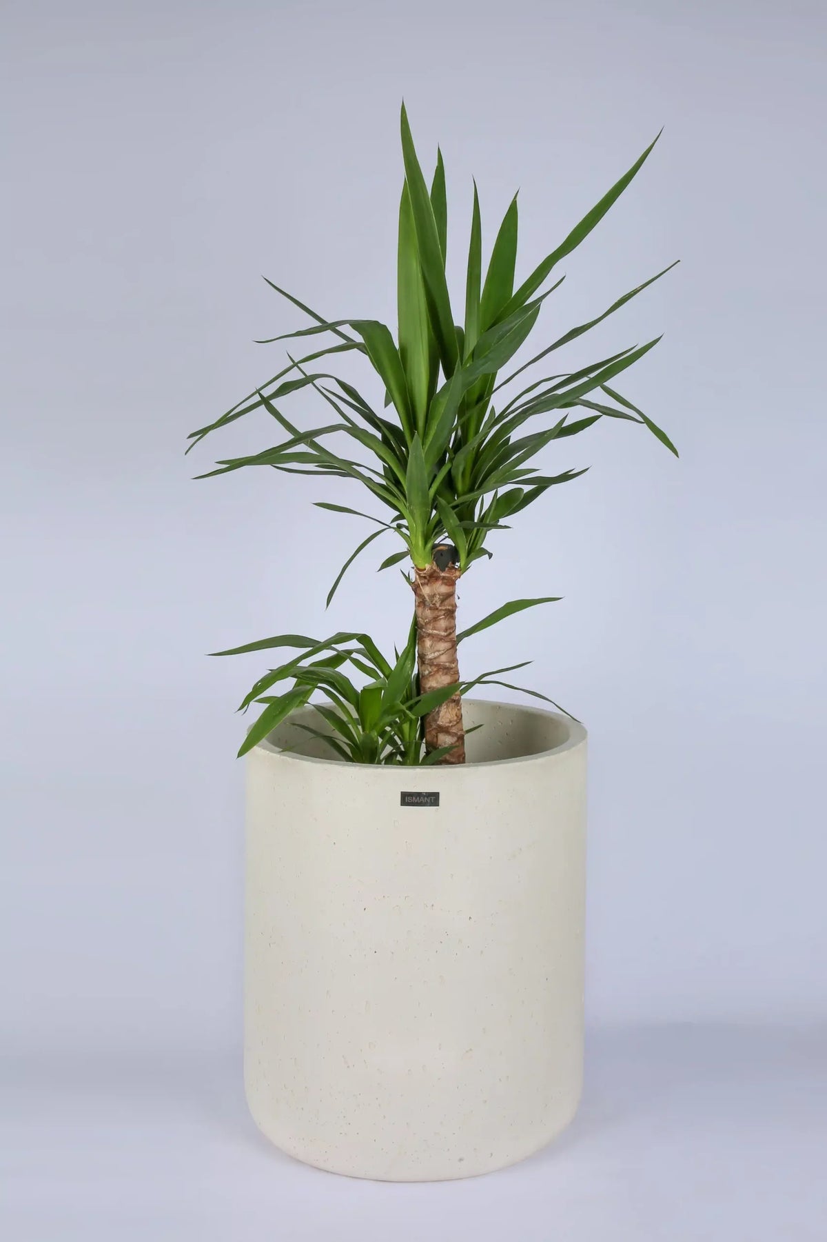 Pot Luna XXL