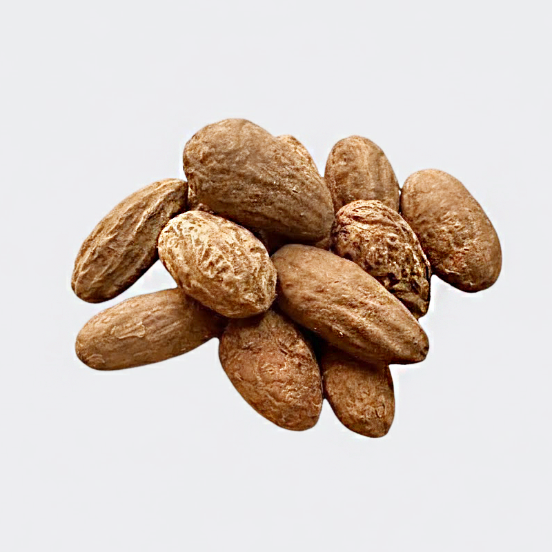 Noix de Oud Salib Brut - عشبة الفوانيا