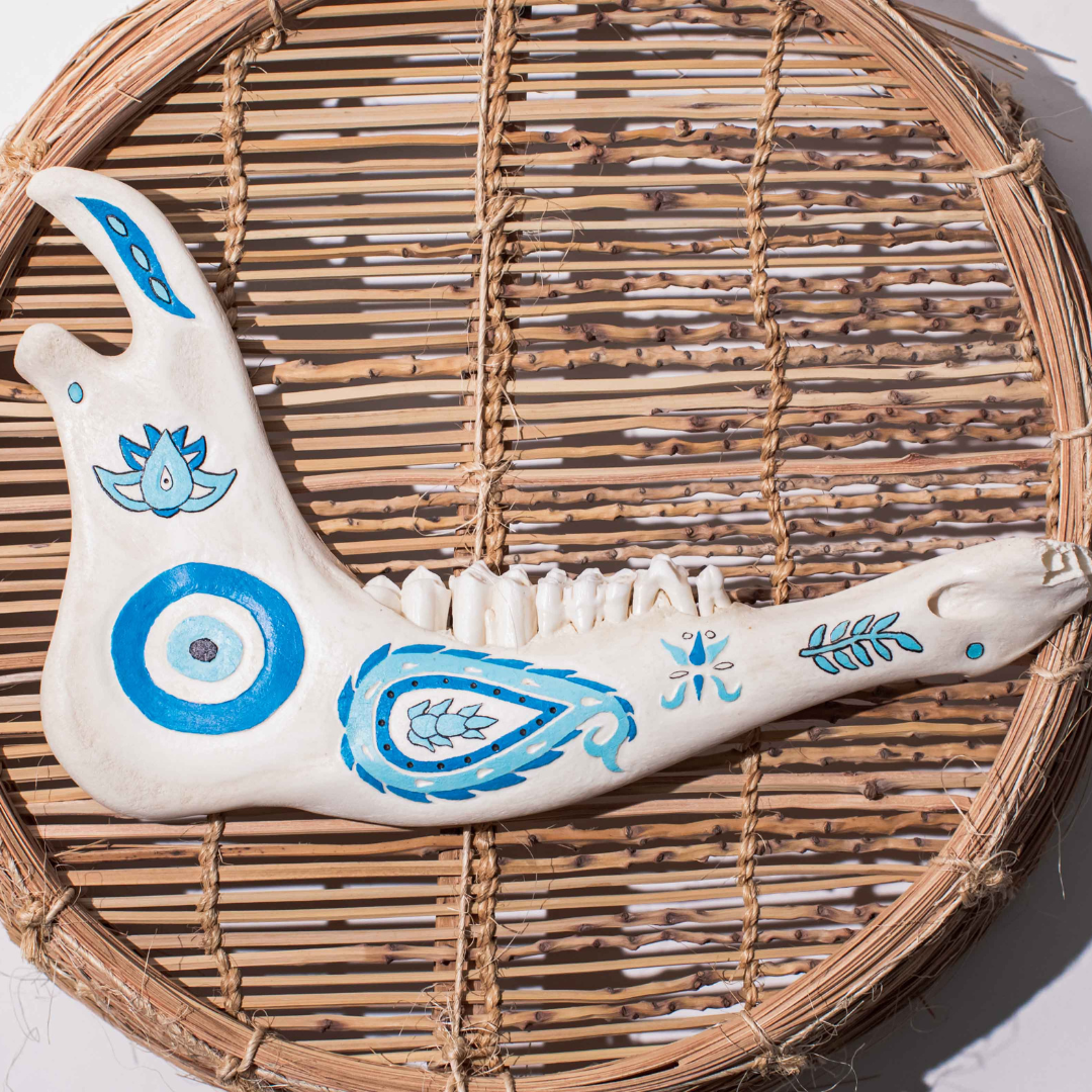Mâchoire animale décorée bleu sur osier naturel