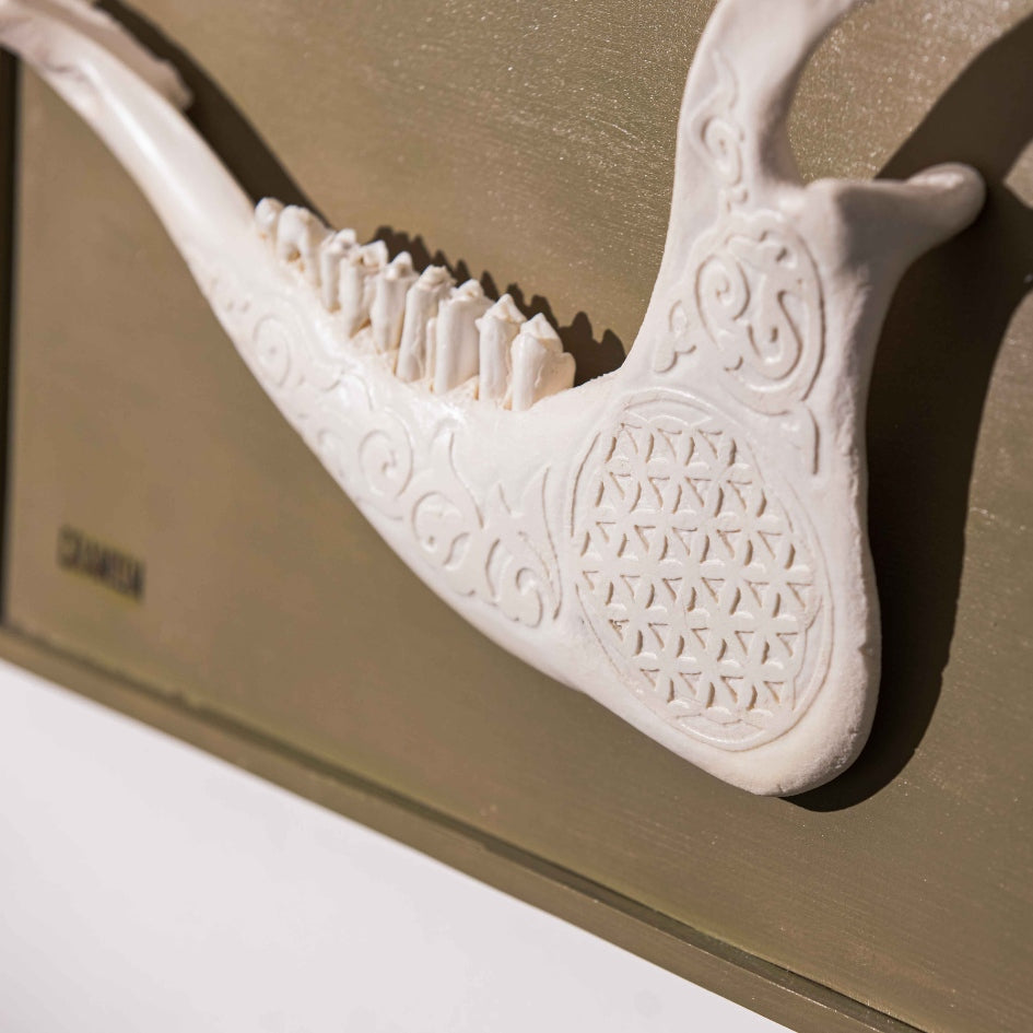 Mâchoire gravée sur bois : une pièce unique et captivante