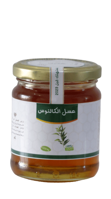 Miel Eucalyptus 250 Gr