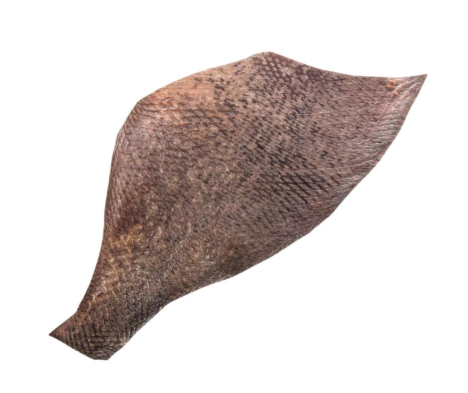 Le Cuir de Baliste "Random Brown Triggerfish Leather"