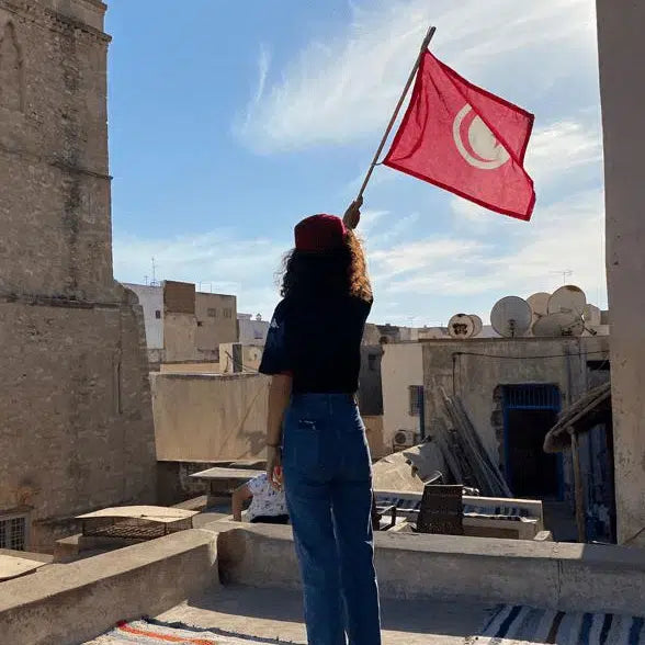 Drapeau De La Tunisie