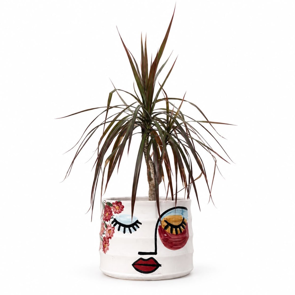 Duo pot & tortue - Visage artistique