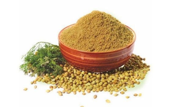 Coriandre épice en pot – تابل مرحي