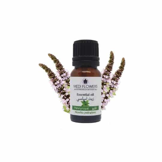 Huile essentielle de Menthe pouliot - artisanat Tunisien fait main | ILEYCOM