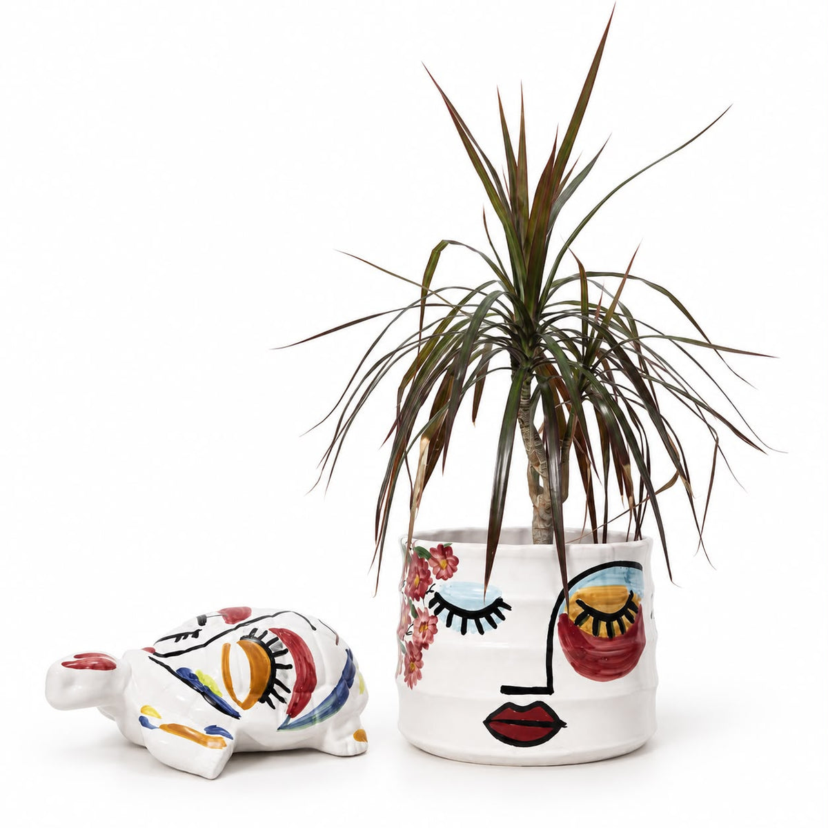 Duo pot & tortue - Visage artistique