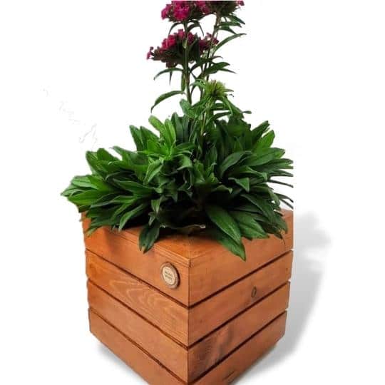 Pot de plante en bois carré simple - artisanat Tunisien fait main | ILEYCOM