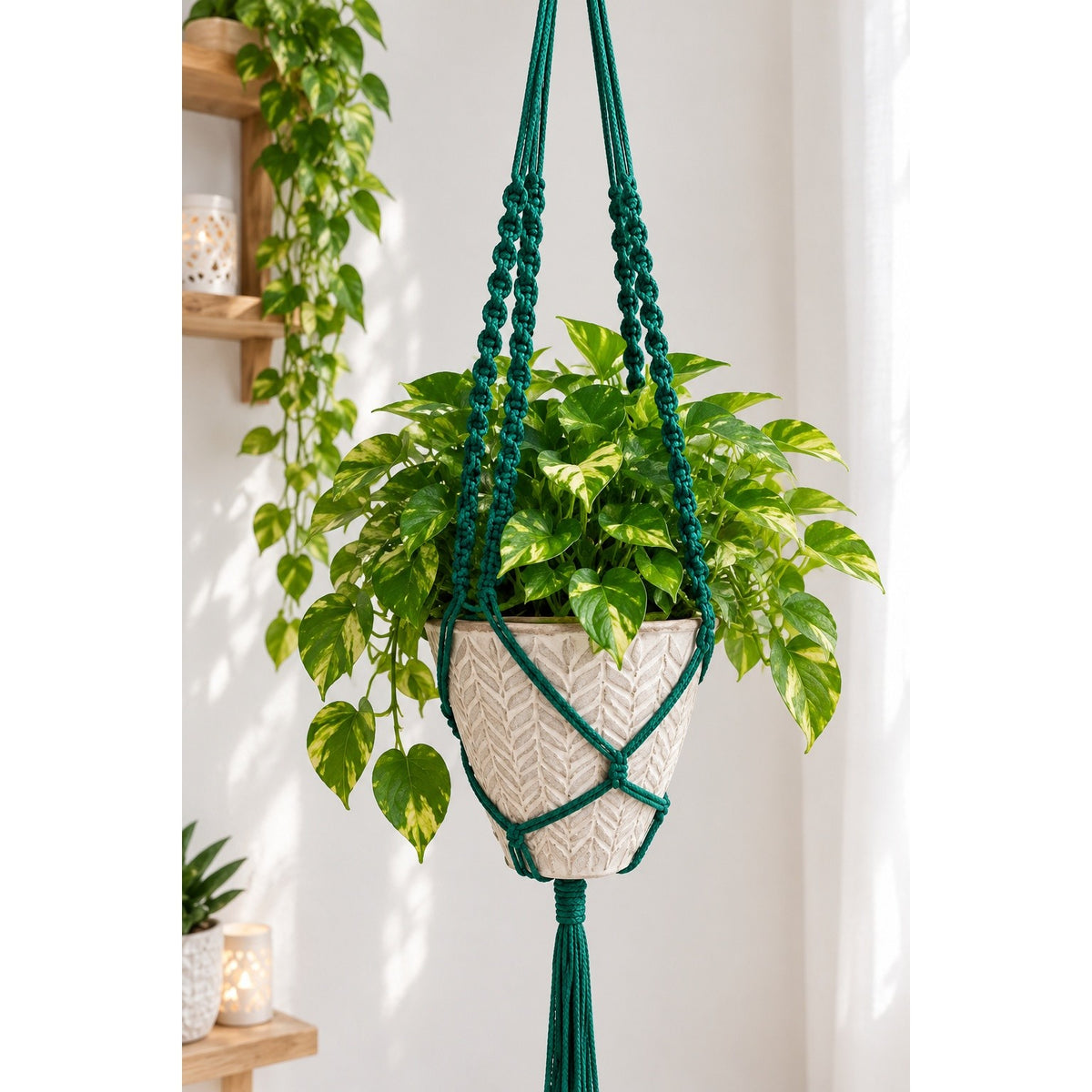Suspension plante macramé vert foncé pour un intérieur élégant
