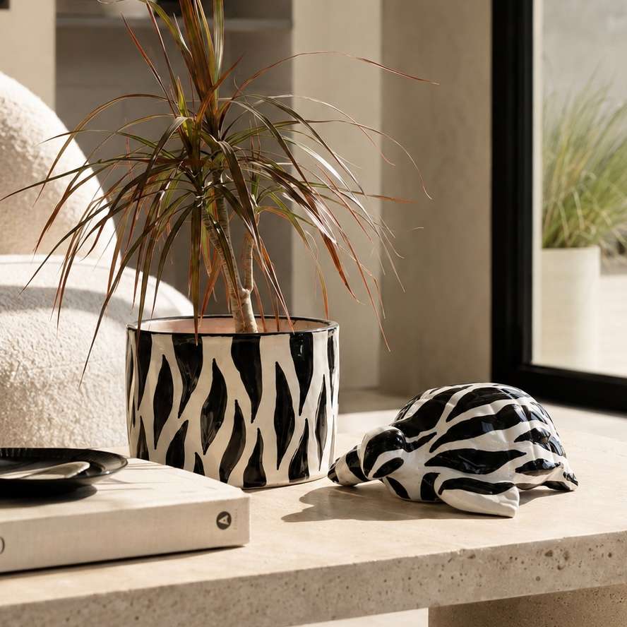 Tortue décorative noir et blanc élégance pour votre intérieur