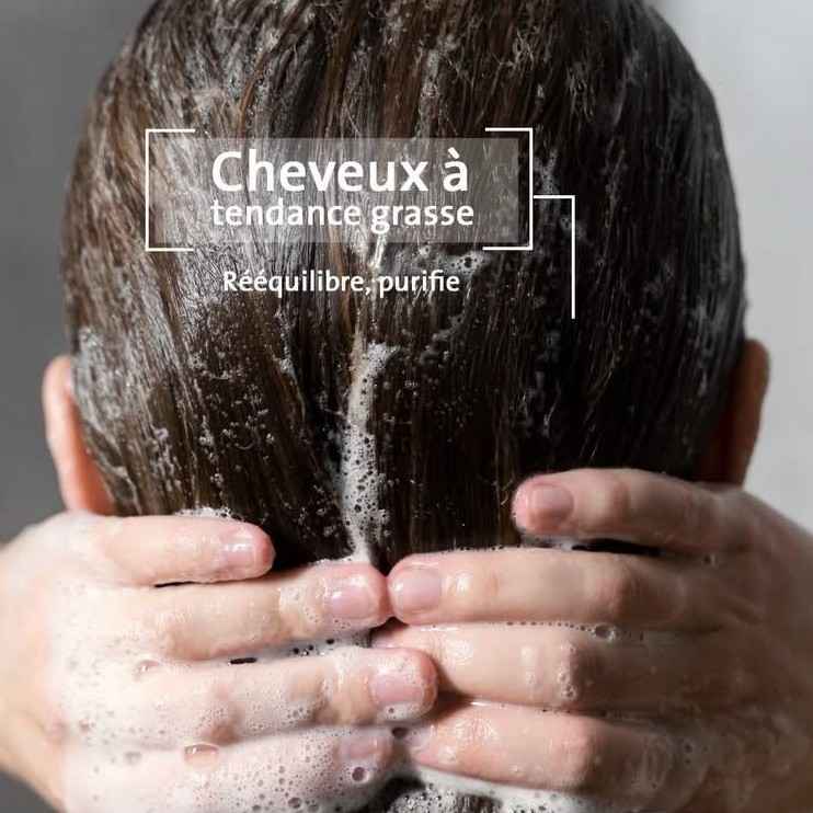 Shampoing purifiant Bio pour cheveux gras