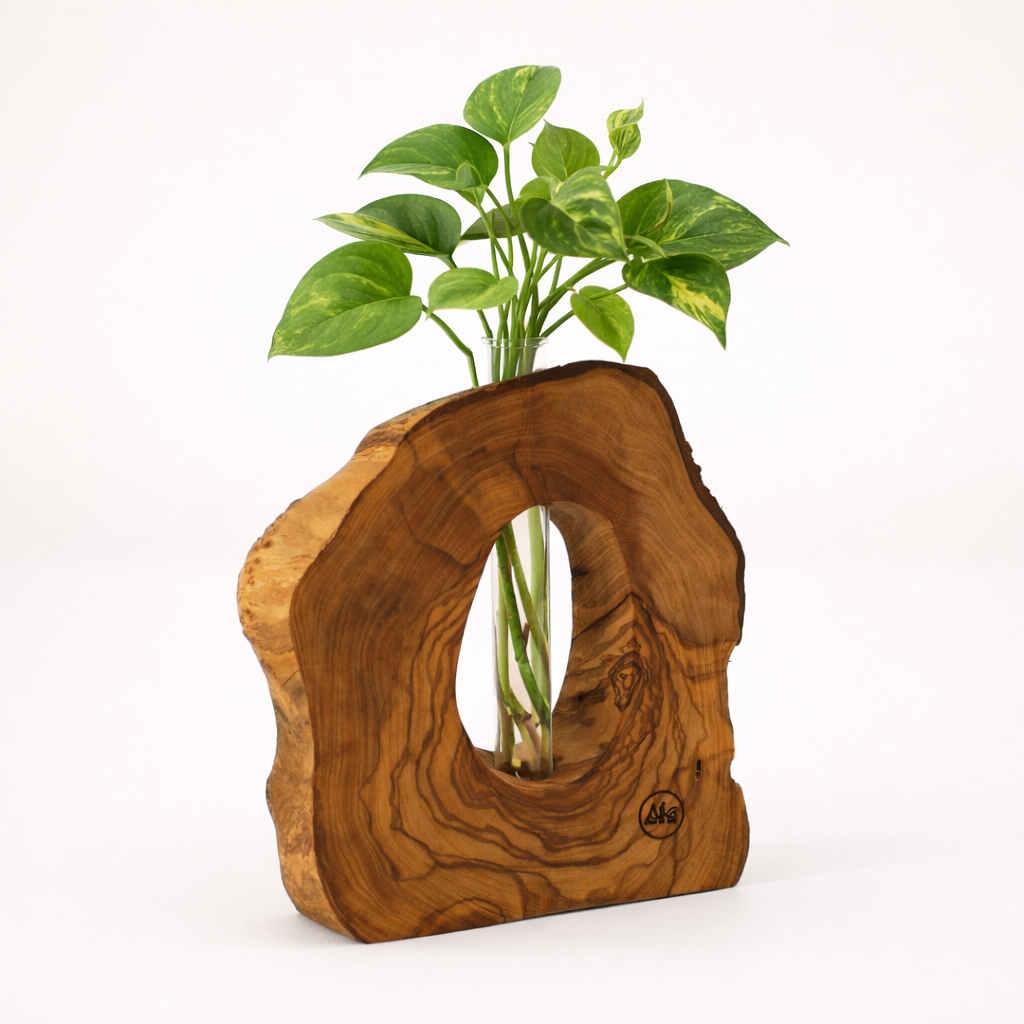Vase en bois d'olivier avec tige en verre