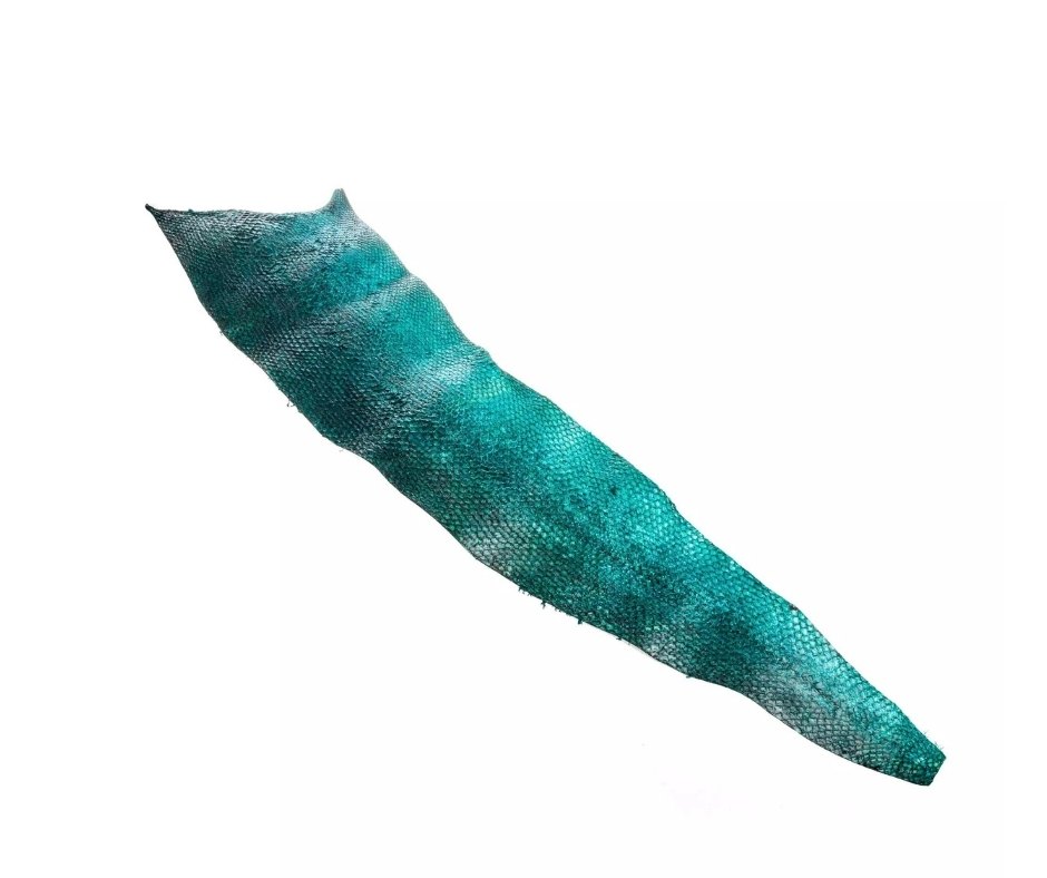 Le Cuir de Saumon "Blue Salmon Leather"