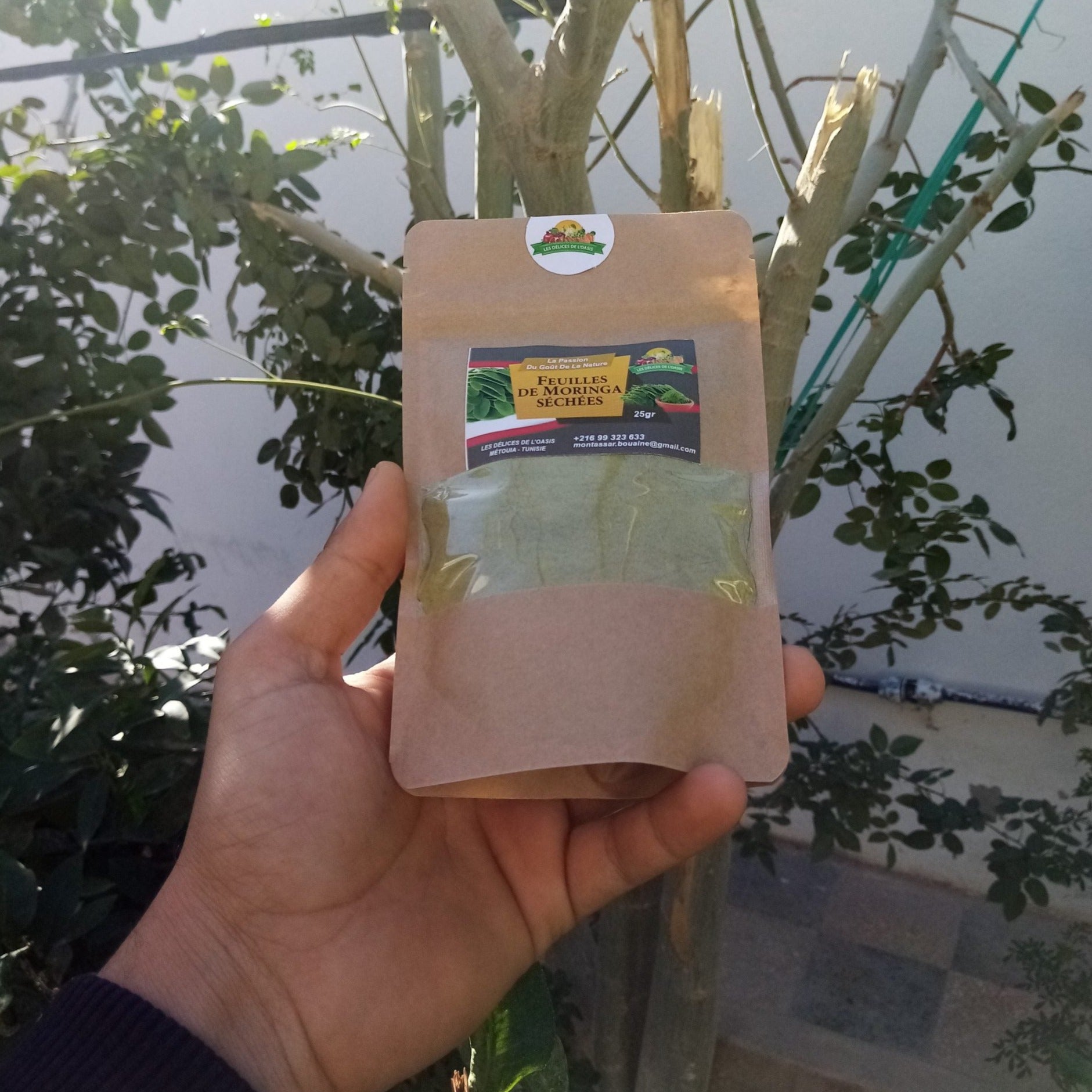 Poudre de feuilles de Moringa 50 g - artisanat Tunisien fait main | ILEYCOM