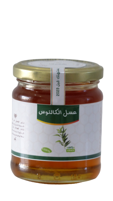 Eucalyptus Honey 250 Gr