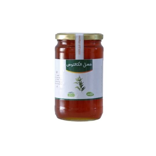 Miel d'Eucalyptus 1Kg