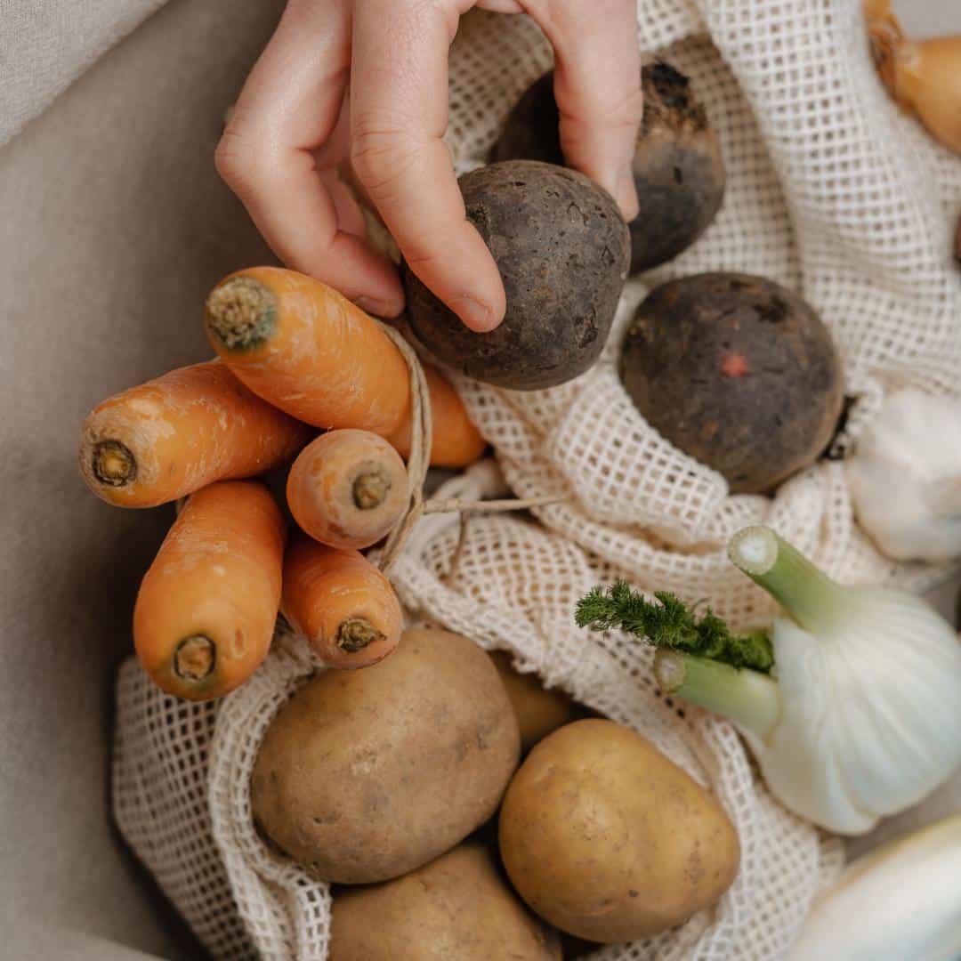 Sac et Couvre Plats Réutilisables