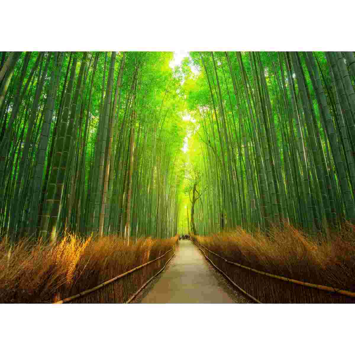 tshirt grenouille tendance pour un style unique et fun