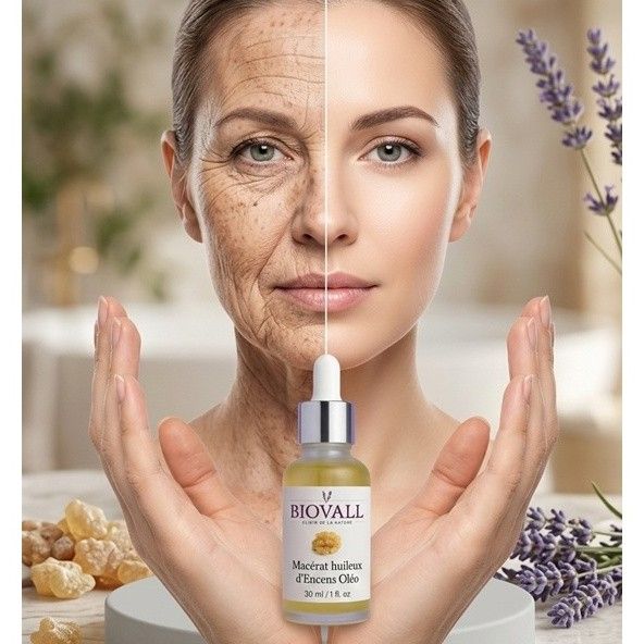 macérat huileux d'encens d'oliban pour une peau éclatante