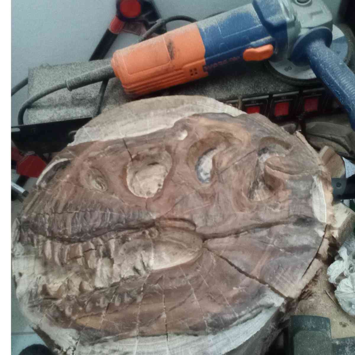 Trex sculpture exclusive