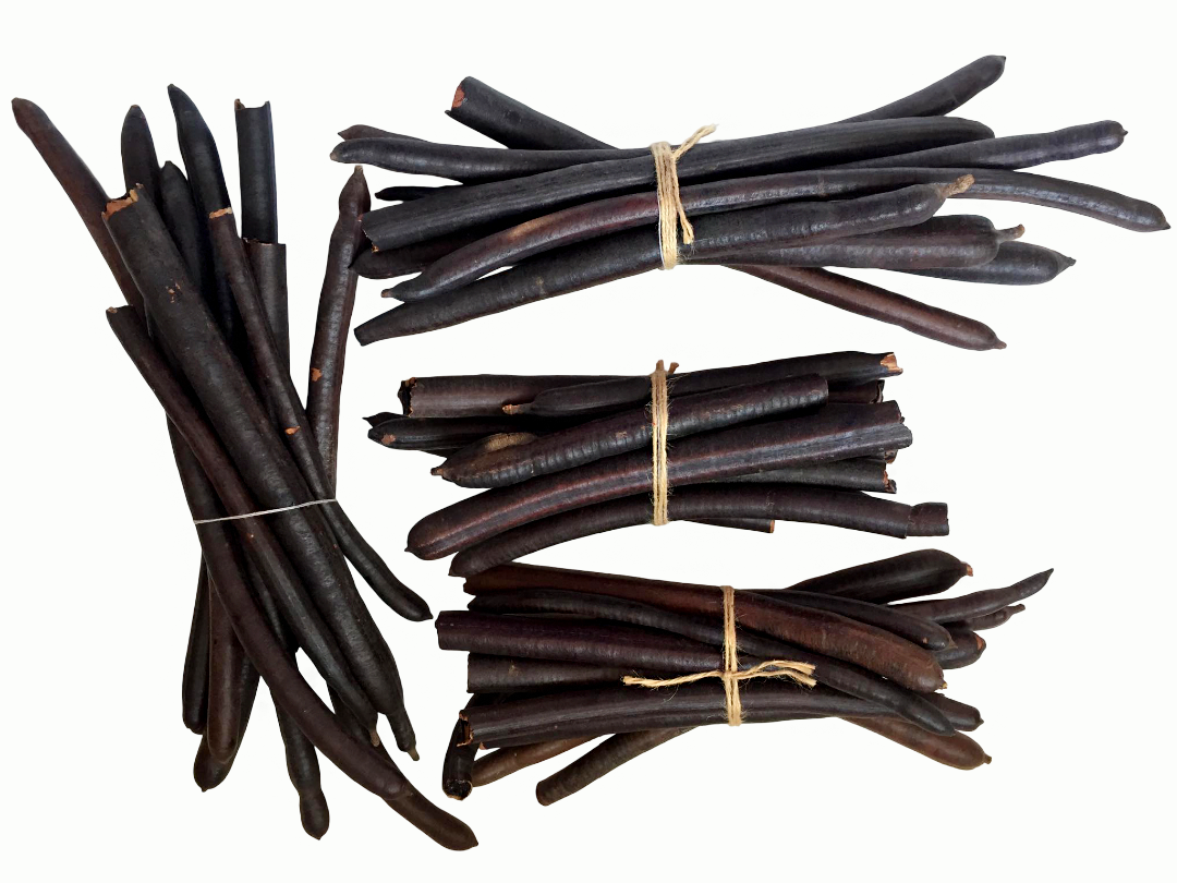 Cassia fistula bâton sauvage 500g