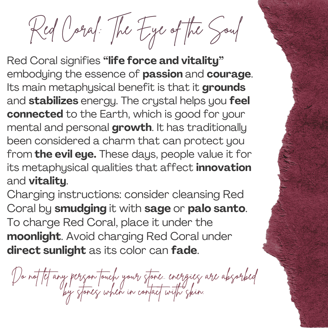 Collier en argent 925 plaqué en or 18 karats avec une pièce de corail rouge (45 cm)