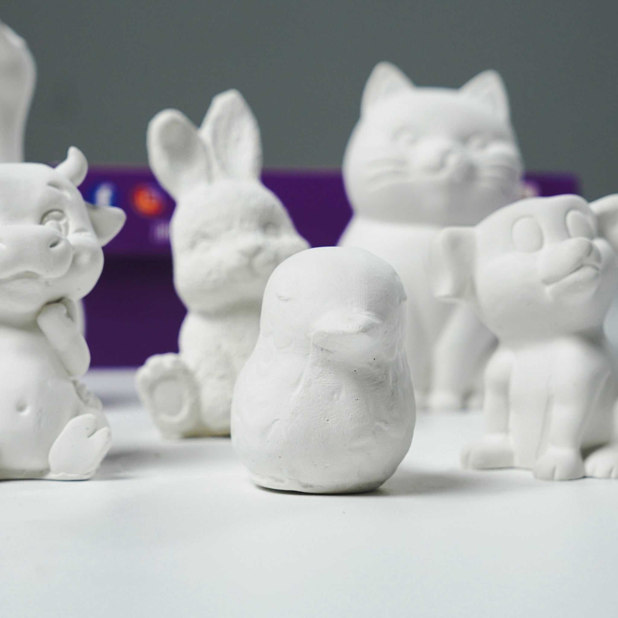 Kit de coloriage Animaux avec expérience réalité augmentée