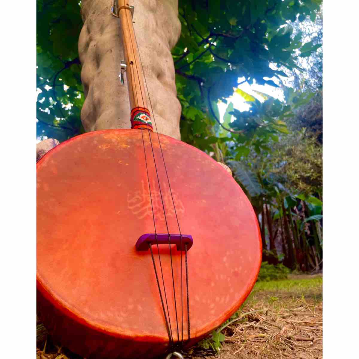 Gombri traditionnel fait main instrument de musique artisanal africain en bois et peau naturelle