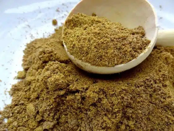 Carvi épice en pot - كروية مرحية