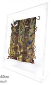 Peinture Recto-Verso sur Margoum – Porte Affiche Plexi