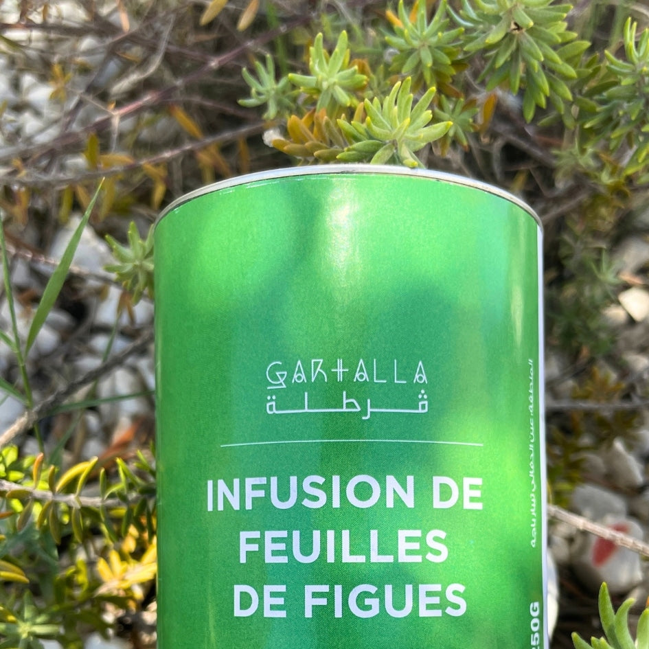 Infusion de feuilles de figues