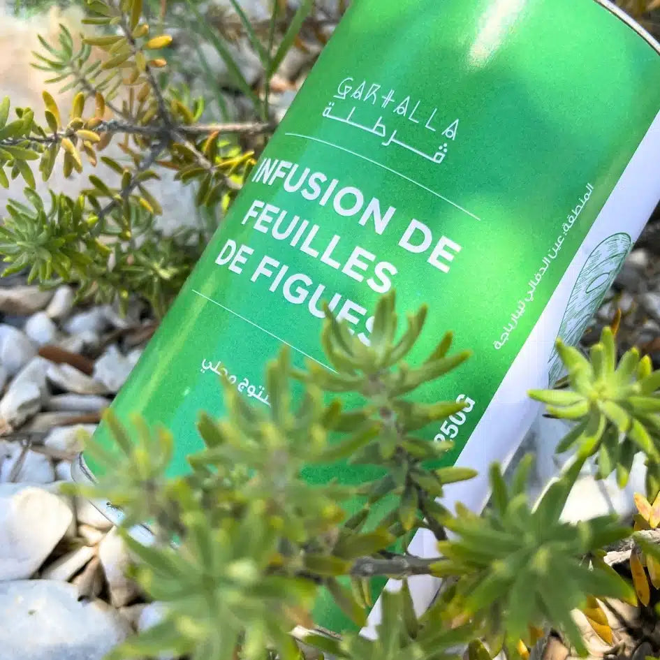 Infusion de feuilles de figues
