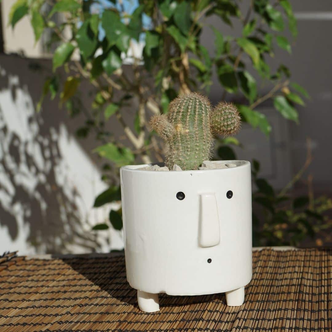 Mini-pot visage en céramique de plante
