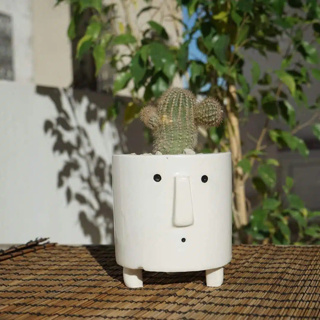 Mini-pot visage en céramique de plante