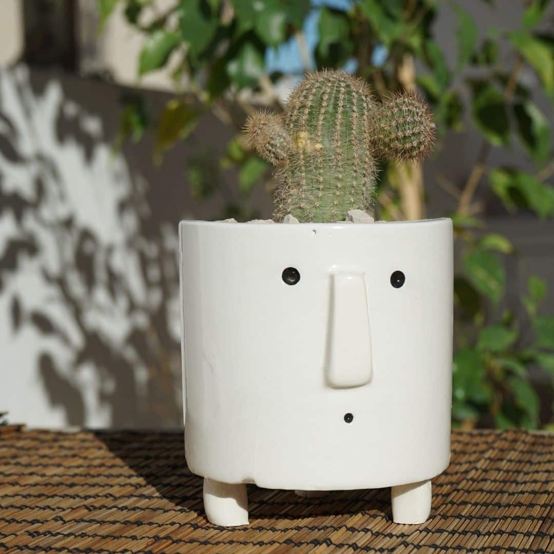 Mini-pot visage en céramique de plante