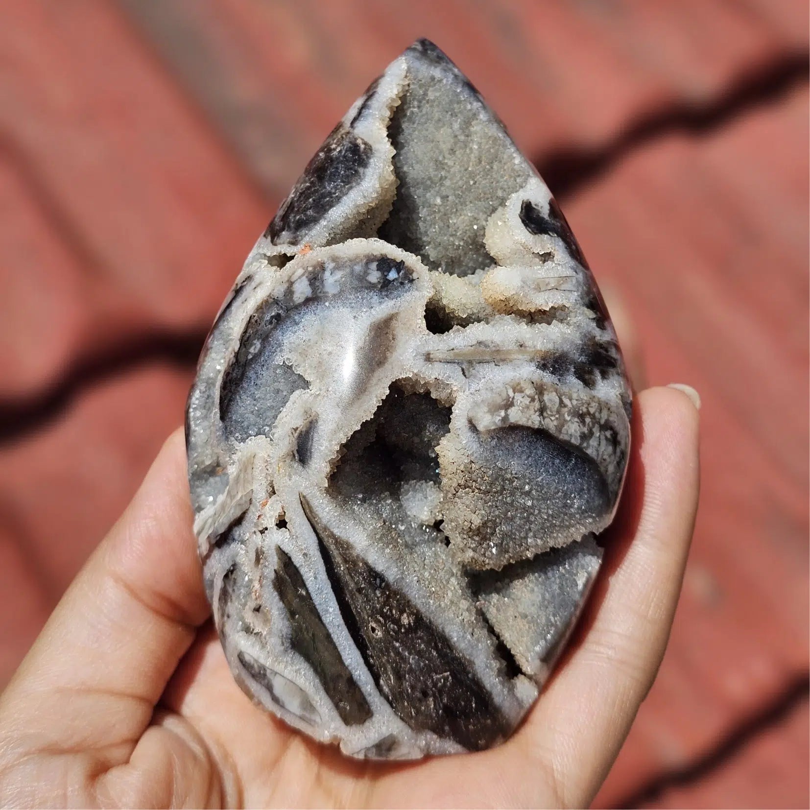 Pierre sédimentaire de décoration Nodule Septarien