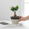 cachepot moderne design 20 cm pour un bureau élégant et chic
