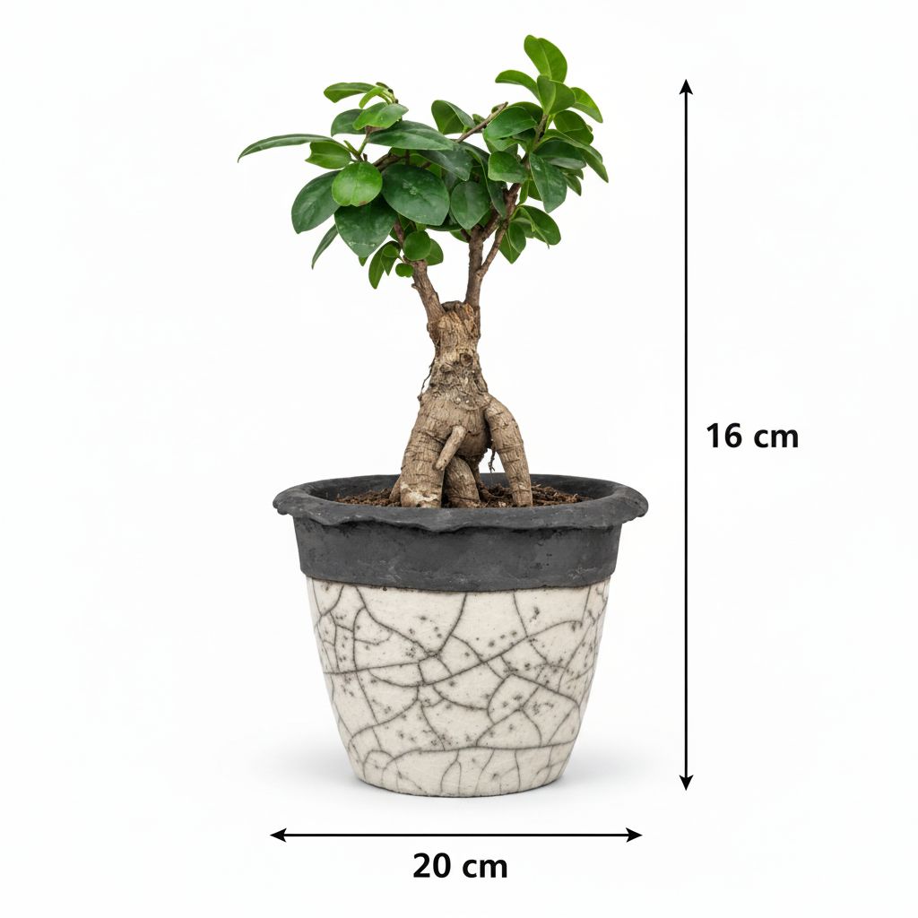 cachepot moderne design 20 cm pour un bureau élégant et chic