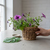 Cache pot naturel petit modèle élégant pour un intérieur stylé