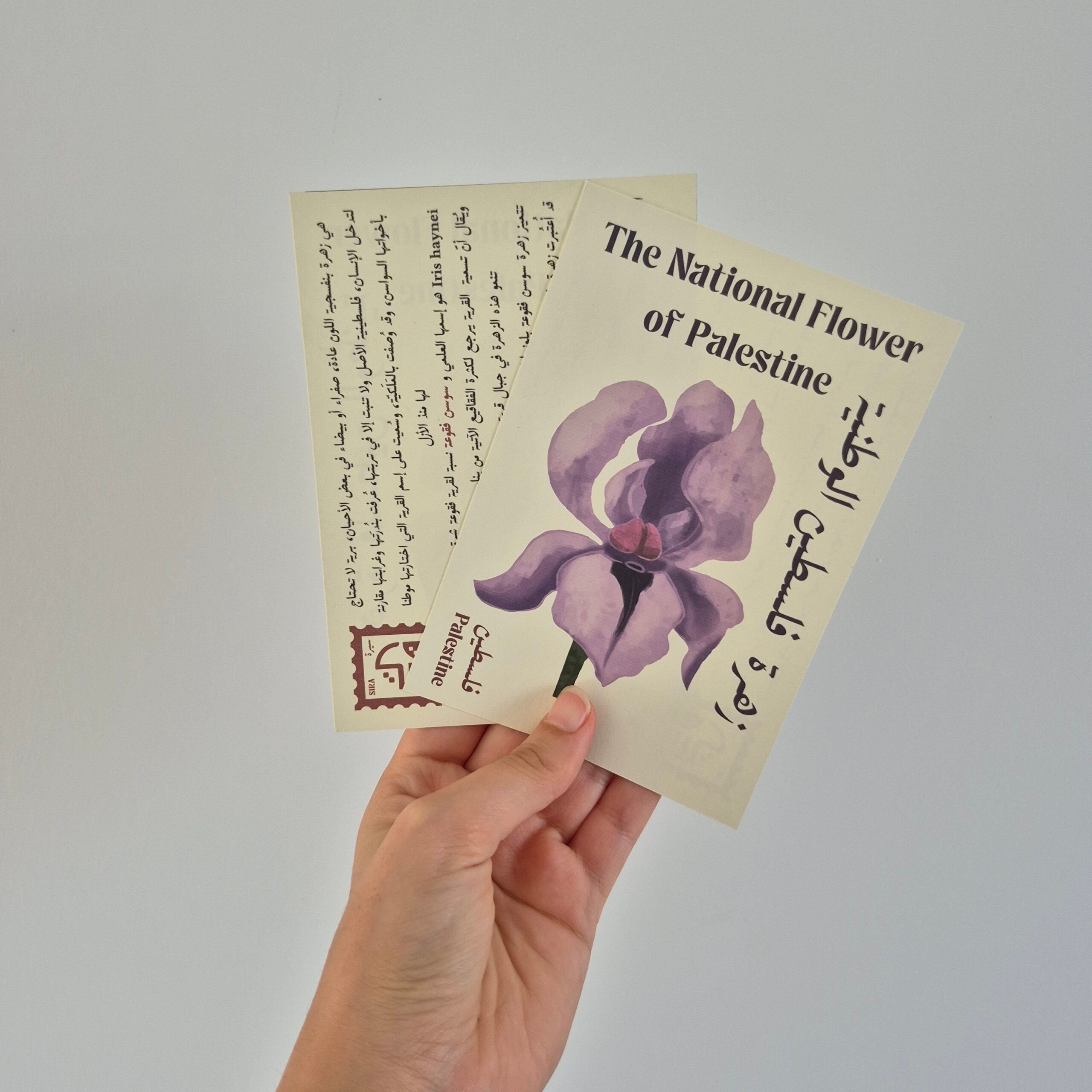 Bougie "The national flower of Palestine" avec carte postale et enveloppe photos