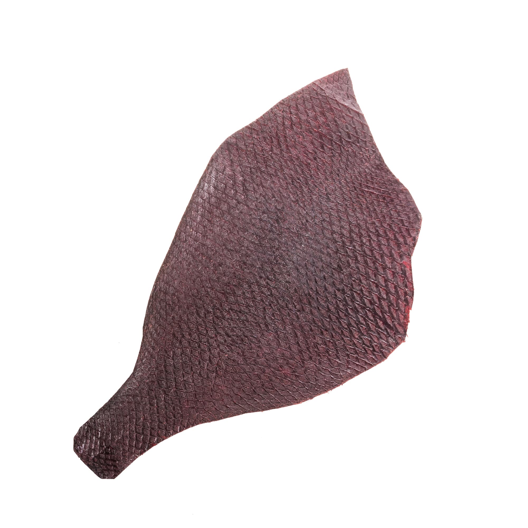 Burgundy Triggerfish Leather